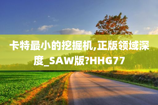 卡特最小的挖掘机,正版领域深度_SAW版?HHG77