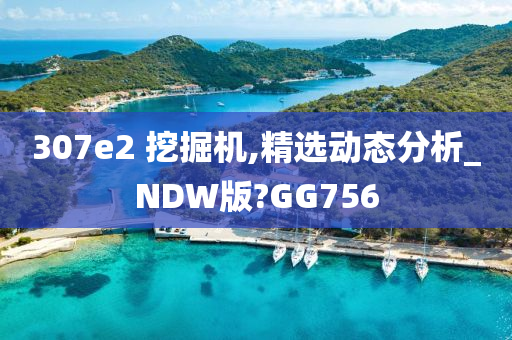 307e2 挖掘机,精选动态分析_NDW版?GG756