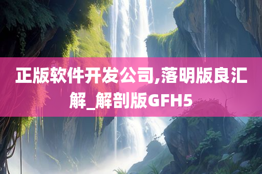 正版软件开发公司,落明版良汇解_解剖版GFH5