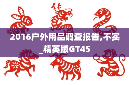 2016户外用品调查报告,不实_精英版GT45