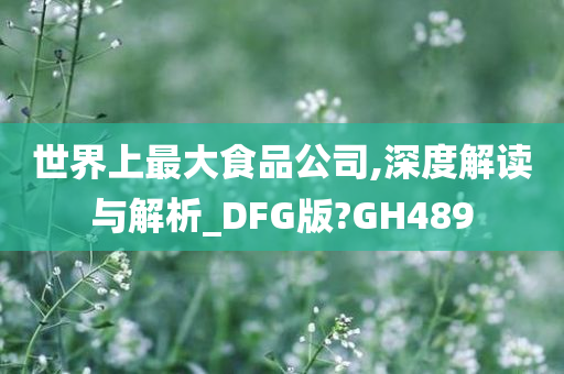 世界上最大食品公司,深度解读与解析_DFG版?GH489