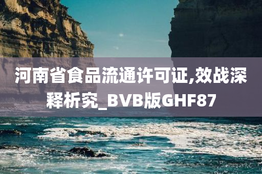 河南省食品流通许可证,效战深释析究_BVB版GHF87