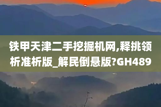 铁甲天津二手挖掘机网,释挑领析准析版_解民倒悬版?GH489