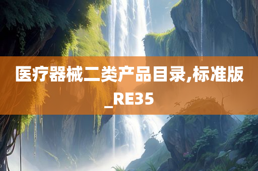 医疗器械二类产品目录,标准版_RE35