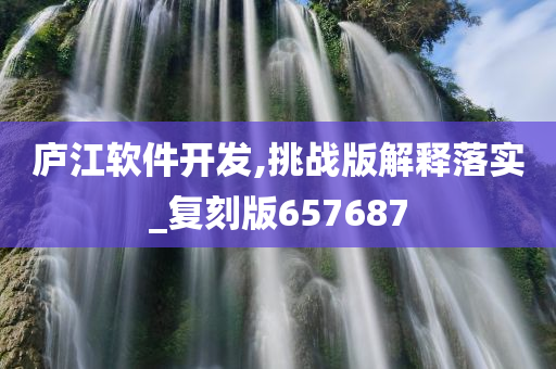 庐江软件开发,挑战版解释落实_复刻版657687