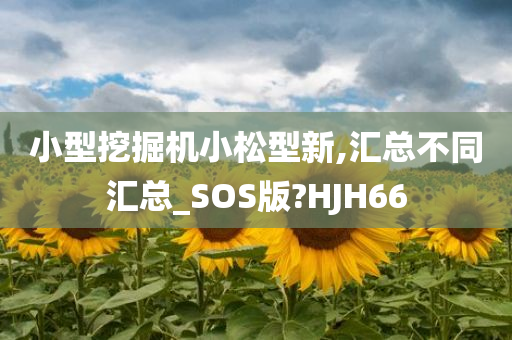 小型挖掘机小松型新,汇总不同汇总_SOS版?HJH66