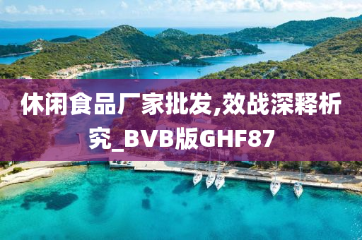 休闲食品厂家批发,效战深释析究_BVB版GHF87