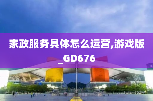 家政服务具体怎么运营,游戏版_GD676