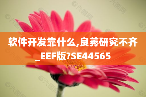 软件开发靠什么,良莠研究不齐_EEF版?SE44565