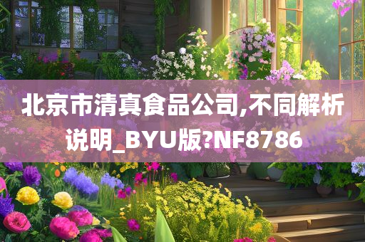 北京市清真食品公司,不同解析说明_BYU版?NF8786