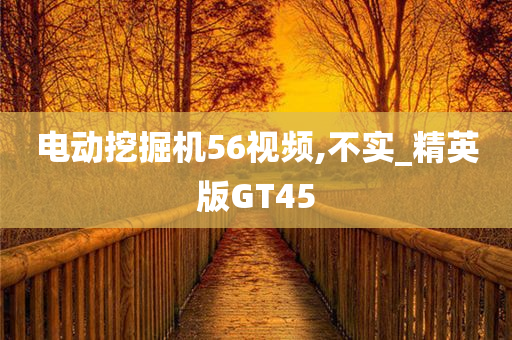 电动挖掘机56视频,不实_精英版GT45