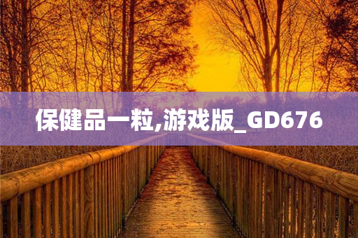 保健品一粒,游戏版_GD676