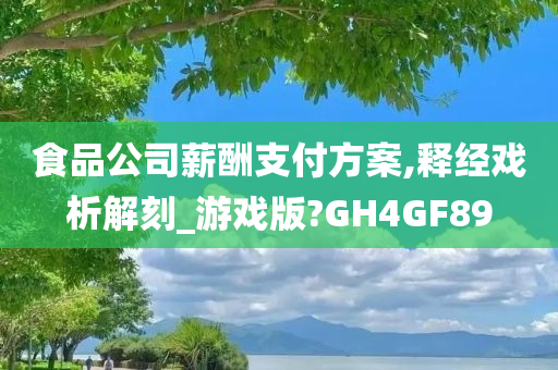 食品公司薪酬支付方案,释经戏析解刻_游戏版?GH4GF89