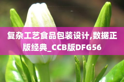 复杂工艺食品包装设计,数据正版经典_CCB版DFG56