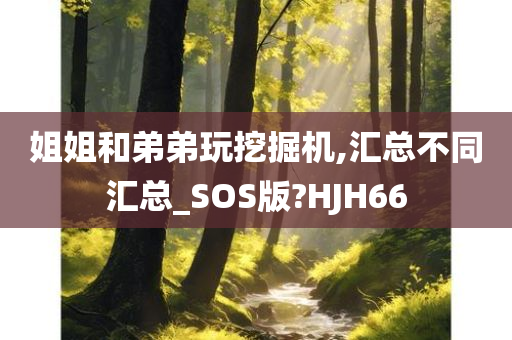 姐姐和弟弟玩挖掘机,汇总不同汇总_SOS版?HJH66