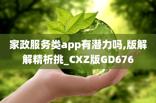 家政服务类app有潜力吗,版解解精析挑_CXZ版GD676