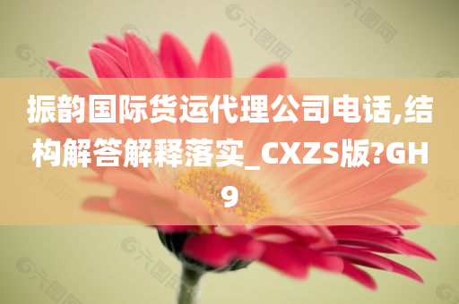 振韵国际货运代理公司电话,结构解答解释落实_CXZS版?GH9