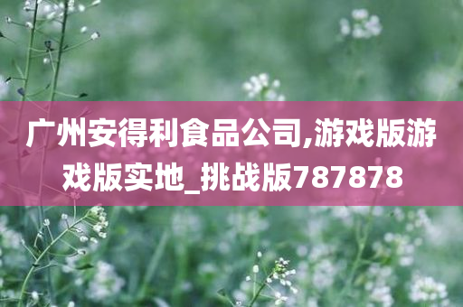 广州安得利食品公司,游戏版游戏版实地_挑战版787878