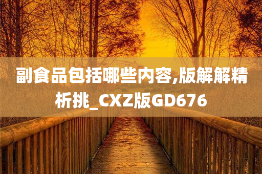 副食品包括哪些内容,版解解精析挑_CXZ版GD676