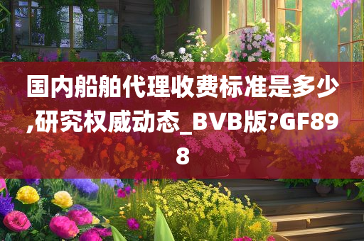 国内船舶代理收费标准是多少,研究权威动态_BVB版?GF898