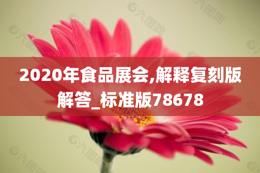 2020年食品展会,解释复刻版解答_标准版78678