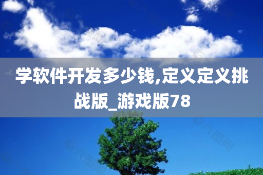 学软件开发多少钱,定义定义挑战版_游戏版78