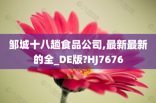 邹城十八趟食品公司,最新最新的全_DE版?HJ7676