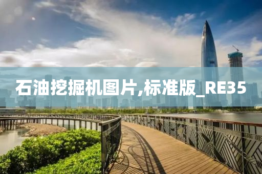 石油挖掘机图片,标准版_RE35