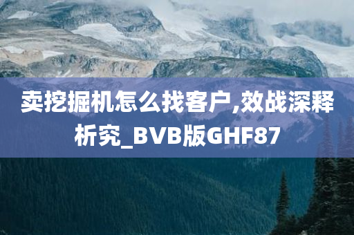 卖挖掘机怎么找客户,效战深释析究_BVB版GHF87