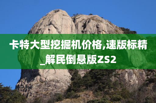 卡特大型挖掘机价格,速版标精_解民倒悬版ZS2