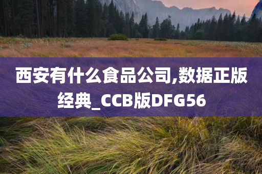 西安有什么食品公司,数据正版经典_CCB版DFG56