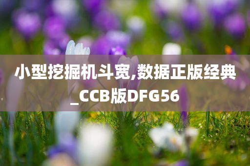 小型挖掘机斗宽,数据正版经典_CCB版DFG56