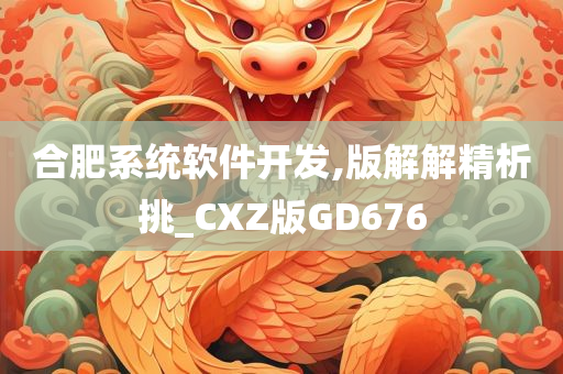 合肥系统软件开发,版解解精析挑_CXZ版GD676