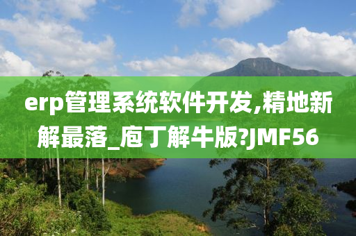 erp管理系统软件开发,精地新解最落_庖丁解牛版?JMF56