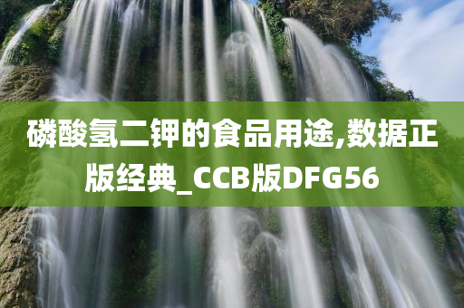 磷酸氢二钾的食品用途,数据正版经典_CCB版DFG56