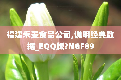 福建禾麦食品公司,说明经典数据_EQQ版?NGF89