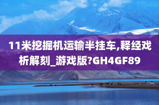 11米挖掘机运输半挂车,释经戏析解刻_游戏版?GH4GF89