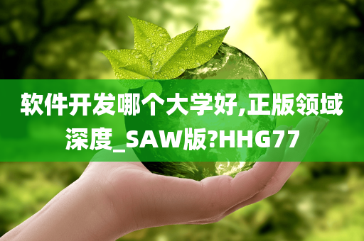 软件开发哪个大学好,正版领域深度_SAW版?HHG77