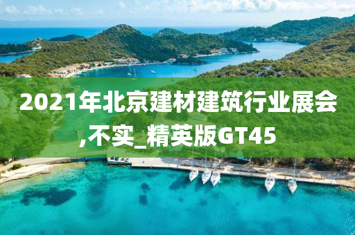 2021年北京建材建筑行业展会,不实_精英版GT45