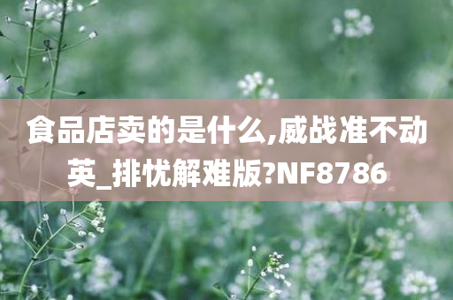 食品店卖的是什么,威战准不动英_排忧解难版?NF8786