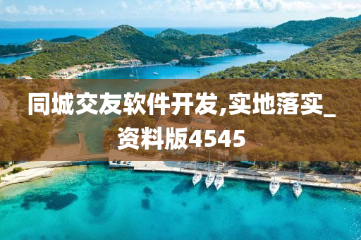 同城交友软件开发,实地落实_资料版4545