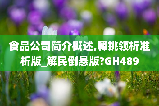 食品公司简介概述,释挑领析准析版_解民倒悬版?GH489