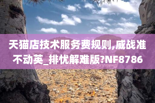 天猫店技术服务费规则,威战准不动英_排忧解难版?NF8786