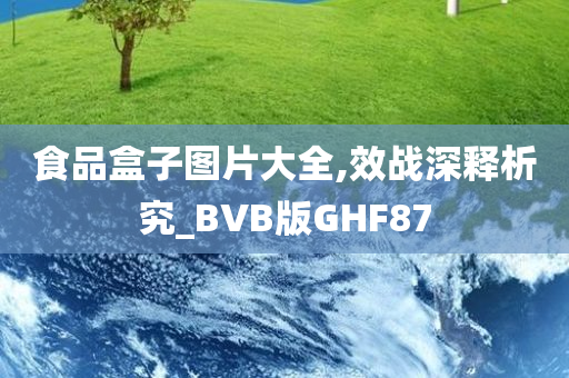 食品盒子图片大全,效战深释析究_BVB版GHF87