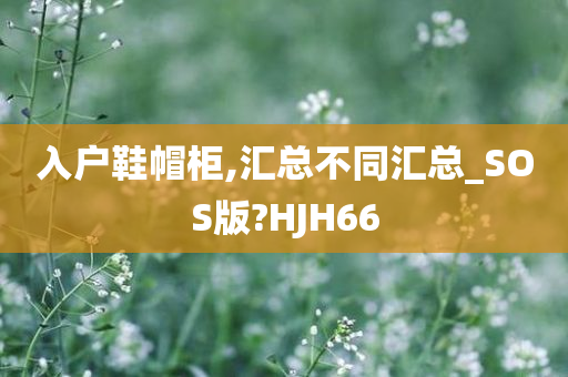 入户鞋帽柜,汇总不同汇总_SOS版?HJH66