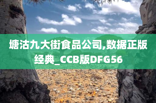 塘沽九大街食品公司,数据正版经典_CCB版DFG56