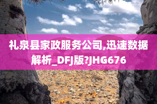 礼泉县家政服务公司,迅速数据解析_DFJ版?JHG676