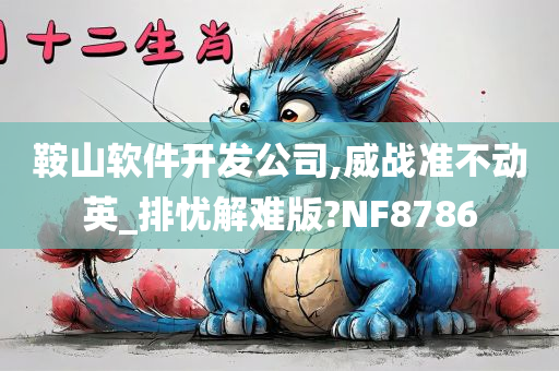 鞍山软件开发公司,威战准不动英_排忧解难版?NF8786