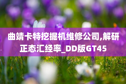 曲靖卡特挖掘机维修公司,解研正态汇经率_DD版GT45