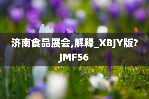 济南食品展会,解释_XBJY版?JMF56